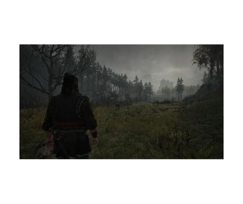 The Blood of Dawnwalker Day One Edition, Xbox Series X - Mäng