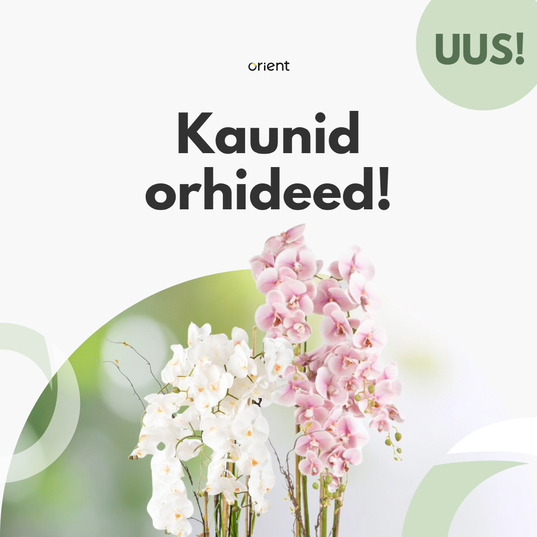https://kontorikaubad.ee/search?key=orhidee%20garden