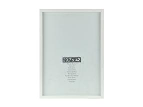 RAPIL404171