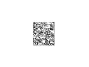 Kalender Time-Master MINI Timex Zebra 2914382556