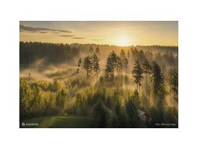 Seinakalender TRIO, avatud mõõt 297x630mm (PILT nr. 12) 00321/40230