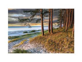 Seinakalender TRIO MEMO , avatud mõõt 297x630mm (PILT nr. 13) 00372/40325