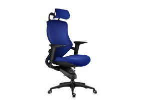 Computer chair XTREME Plus active work chair blue