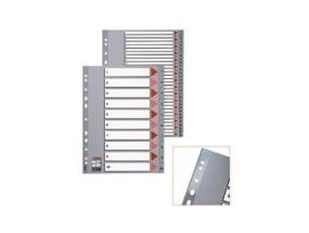 Divider Esselte PP, A4, Jan.-Dec. months, plastic