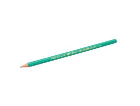 BIC pencils EVOLUTION ORIGINAL HB, 1 pcs. 004608