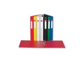 Binder Esselte, A4 / 35 mm, 2 rings, blue