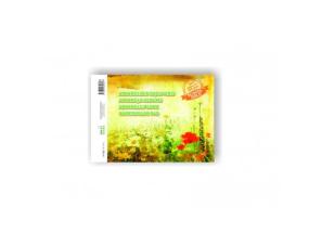 Watercolor notebook SMLT, A4, 200 g, gummed (10) 0708-205