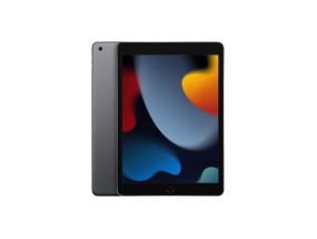 Apple iPad Tablet PC 10.2&#039;&#039;, 64GB, Wi-Fi, 9th Gen, Grey