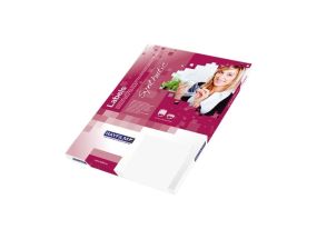 Rayfilm LASER Synthetic PET film Self-Adhesive Labels Matte Silver A4 10 sheets