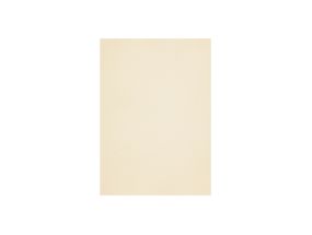 Декоративная бумага A4 120g 50 листов Curious White Gold (408160)