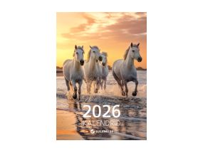 Flaier kataloog Sulemees 2026
