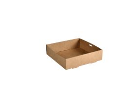 BIOPAK Packaging box 225x225x60mm 100 pcs (cardboard)