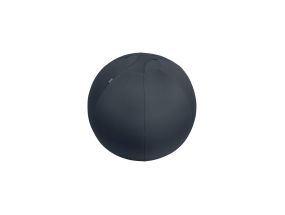Sitting Ball LEITZ Ergo 65cm.Anti-Roll-Away dark grey