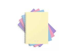 Kaustik spiraalköites A5 ruuduline ERICH KRAUSE Pastel plastkaaned 80 lehte