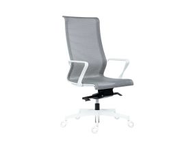 Arvutitool/kontoritool ANTARES Epic, valge raam