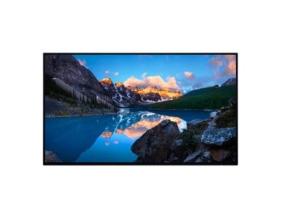 MONITOR LCD 24" U2424H IPS/WITHOUT STAND 210-BLBT DELL