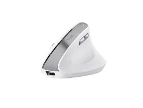 MOUSE USB OPTICAL WRL BAYO II/ERGO WHT 25398 TRUST