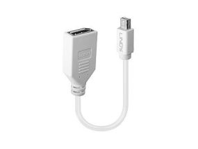 ADAPTER MINI DP TO DP/0.2M 41021 LINDY