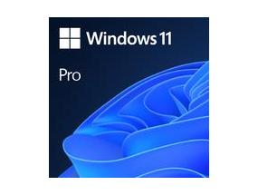 Software MICROSOFT Win 11 Pro GGK 64Bit Eng Intl 1pk DSP ORT OEI DVD Win Pro OEM English 4YR-00316
