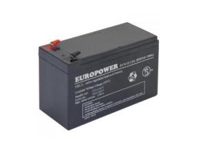 BATTERY 12V 9AH VRLA/EV9-12 T2 EUROPOWER EMU