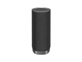 SOUNDBAR SPEAKER/Z100-METAL TCL