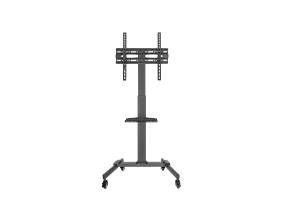 TV SET ACC FLOOR STAND 32-55"/TVS-55T-01 GEMBIRD