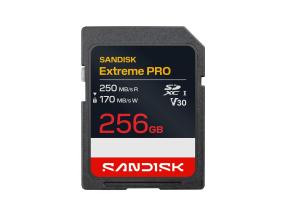 MEMORY SDXC 256GB UHS-1/SDSDXXJ-256G-GSCIN SANDISK