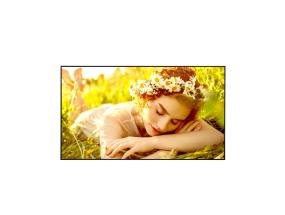DISPLAY LCD 75" 4K/75UL5Q-M LG
