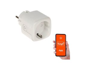 SMART HOME WIFI SMART SOCKET/ATLO-P1-TUYA GENWAY
