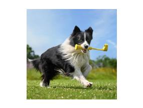 ACTION CAM ACC FETCH STICK//GO 3 CINSBBKP INSTA360