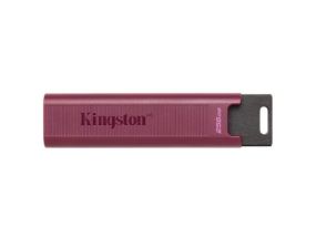 MEMORY DRIVE FLASH USB3.2/256GB DTMAXA/256GB KINGSTON