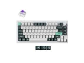 KEYBOARD WRL Q1 HE RGB/SHELL WHITE Q1H-P1 KEYCHRON