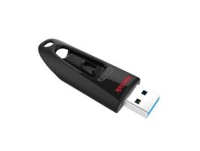 MEMORY DRIVE FLASH USB3 256GB/SDCZ48-256G-U46 SANDISK