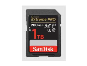 MEMORY SDXC 1TB UHS-I/SDSDXXD-1T00-GN4IN SANDISK