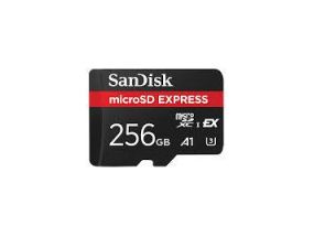 MEMORY MICRO SDXC 256GB UHS-I/SDSQXFN-256G-GN4NN SANDISK