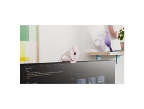 LOGI Brio 300 Full HD webcam - ROSE