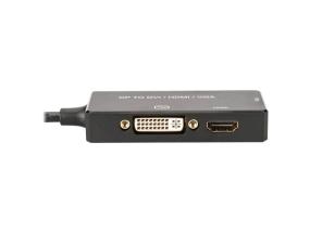 ASSMANN DisplayPort 1in3 converter cable