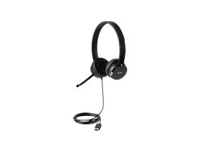 LENOVO 100 USB Stereo peakomplekt