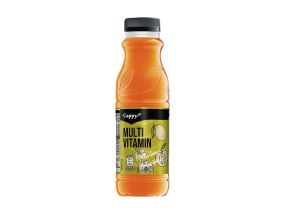 Juice CAPPY multinectar 330 ml