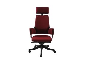 Töötool DELPHI tumepunane