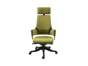 Töötool DELPHI oliiviroheline