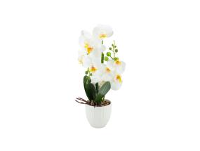 Orhidee GREENLAND H40cm valge pott, valge õis