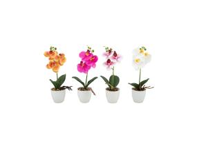 Orhidee GREENLAND H30cm valge pott, mix