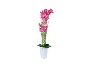 Orhidee GARDEN QUEEN H132cm, roosa