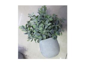 Kunsttaim GREENLAND potis, lai leht