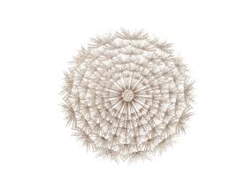 Lauamatt DANDELION, kuld