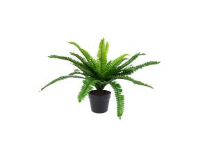 Kunsttaim BOSTON FERN, H60cm, sõnajalg, must pott