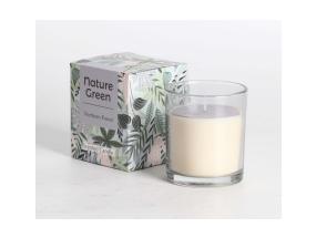 Lõhnaküünal klaasis NATURE GREEN H9,5cm, Northern Forest