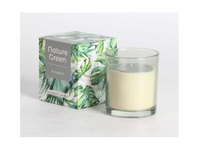 Lõhnaküünal klaasis NATURE GREEN H9,5cm, Evergreen