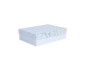 Box ELSA 37x27x11cm, with a lid kuld/hõbe, white